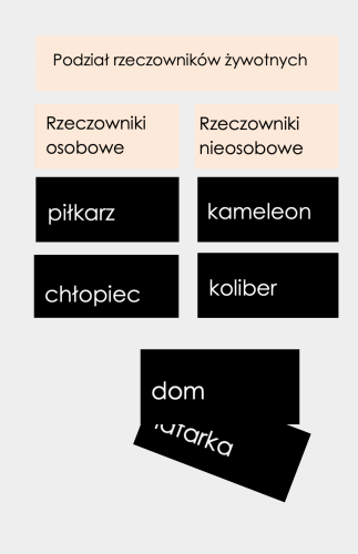 Projekt bez nazwy (57).png