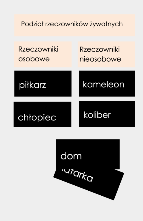 Projekt bez nazwy (57).png