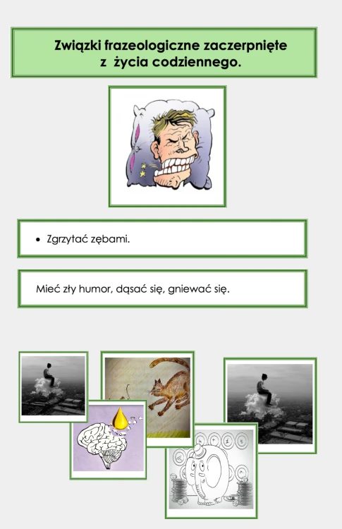 11202x11202 – kopia – kopia – kopia.png